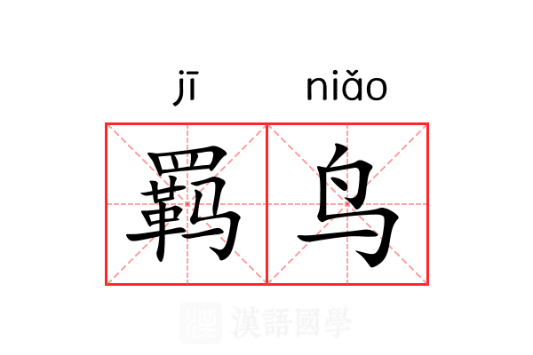 羁鸟