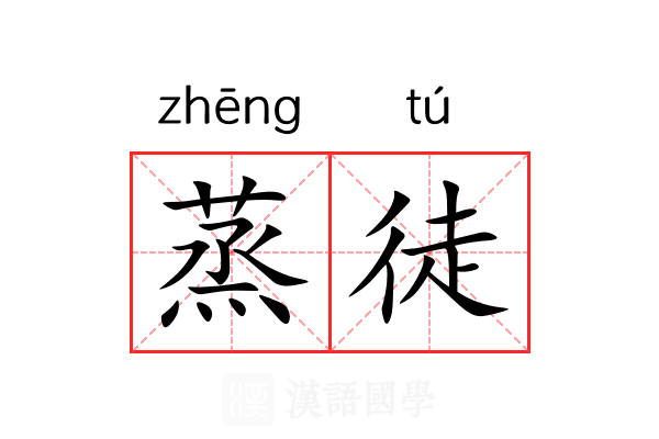 蒸徒 蒸徒