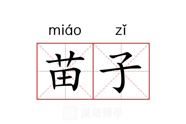苗子