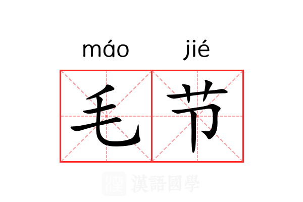 毛节 毛节