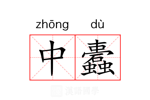 中蠹 中蠹