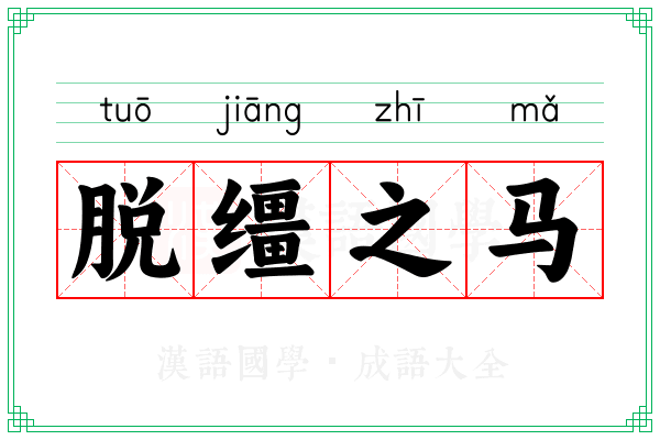 脱缰之马 脱缰之马