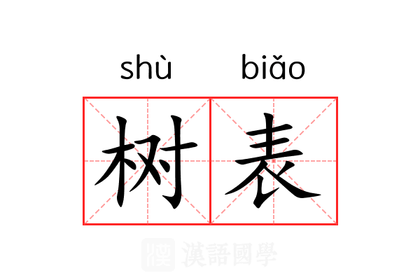 树表