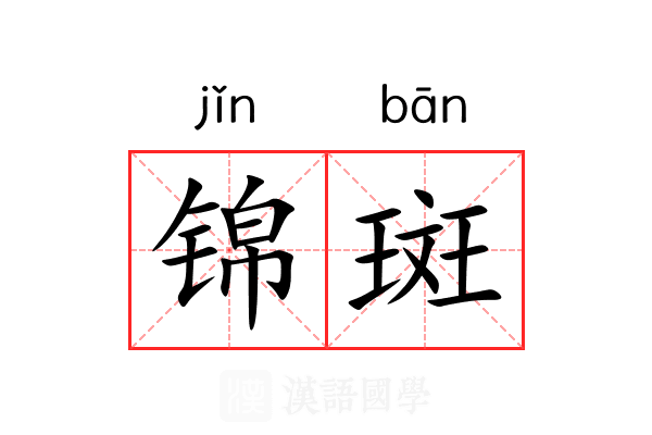 锦斑