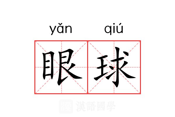 眼球 眼球