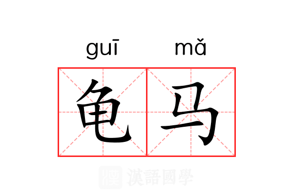 龟马 龟马