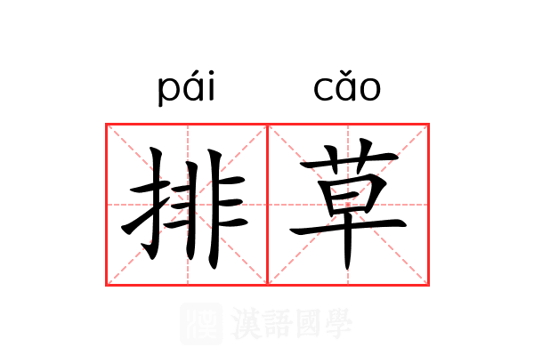 排草 排草