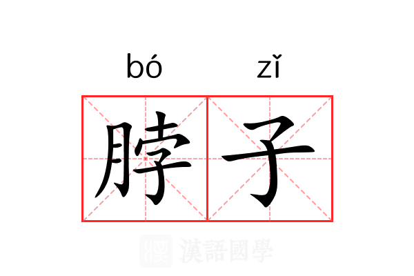 脖子 脖子
