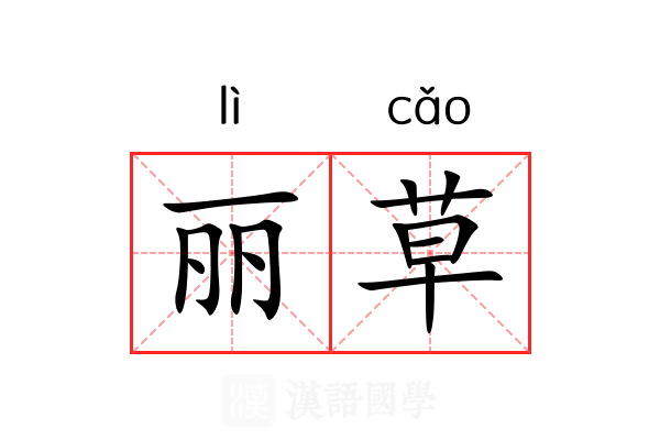 丽草 丽草