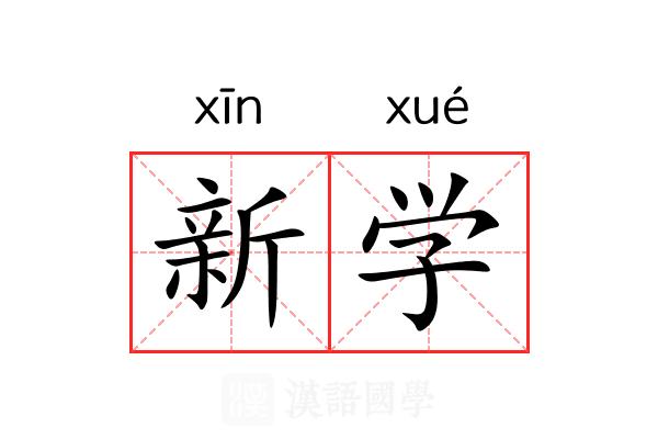 新学