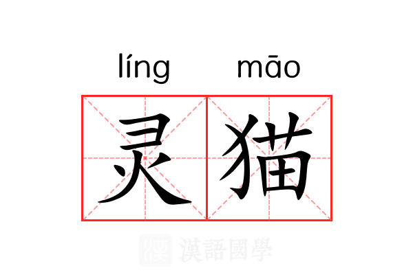 灵猫