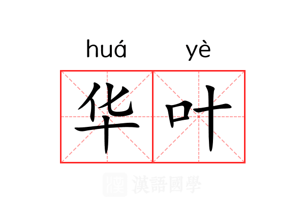 华叶