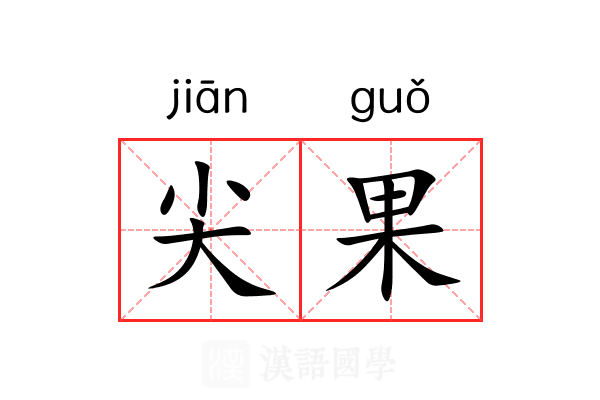 尖果 尖果