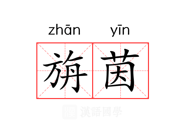 旃茵