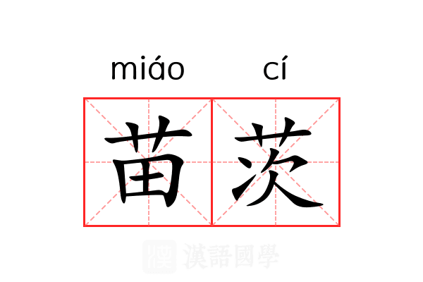 苗茨