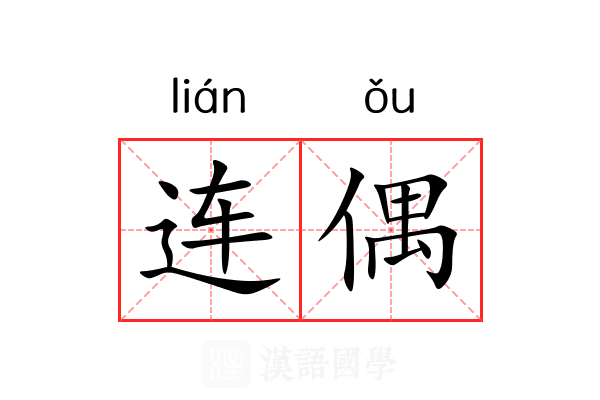 连偶 连偶