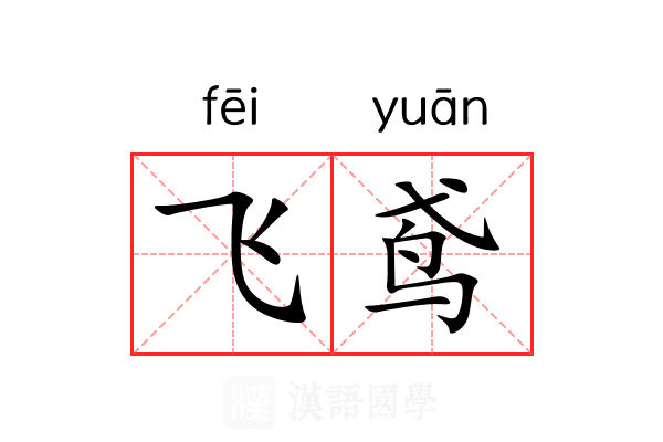 飞鸢 飞鸢