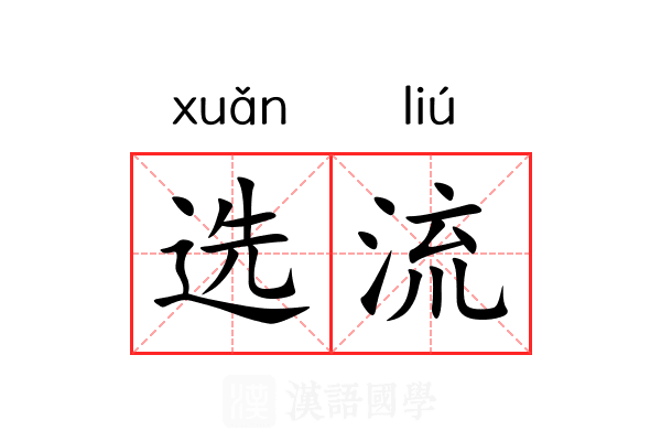 选流 选流
