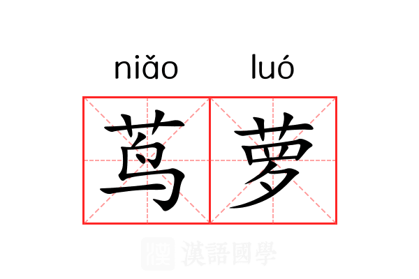 茑萝