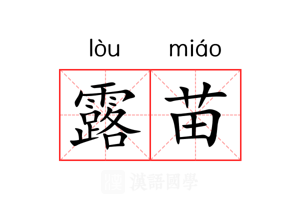 露苗