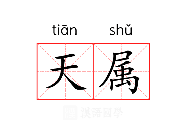 天属