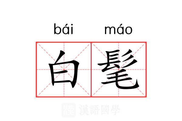 白髦 白髦
