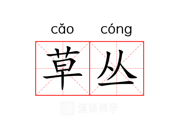 草丛