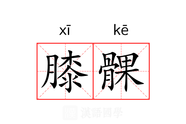 膝髁
