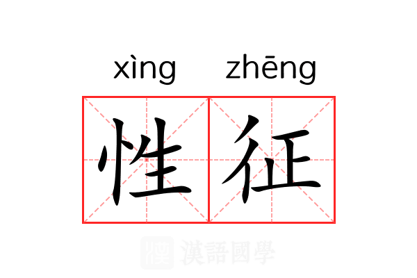 性征 性征