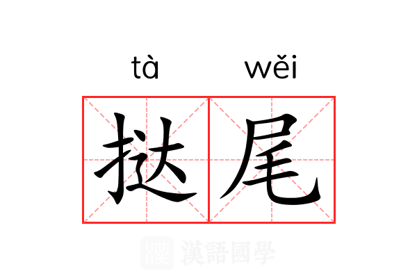 挞尾 挞尾