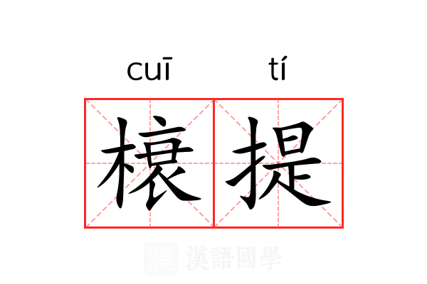榱提