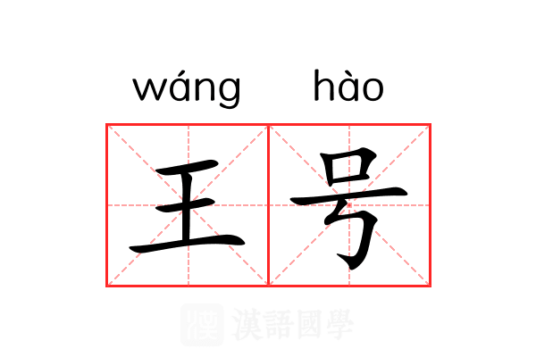王号 王号