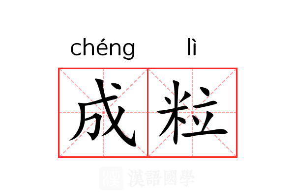 成粒