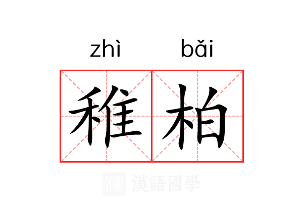 稚柏