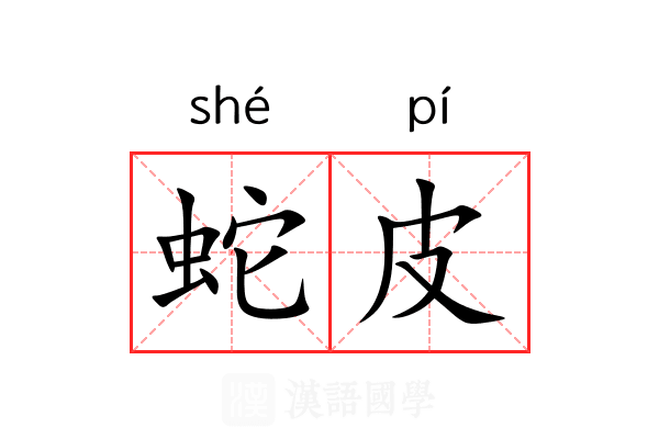 蛇皮 蛇皮