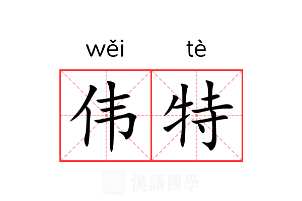 伟特 伟特