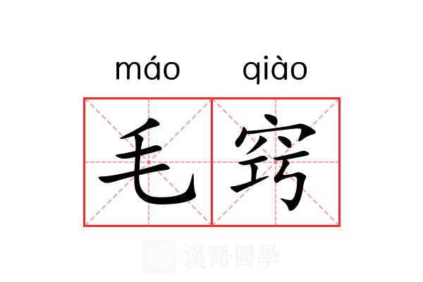 毛窍