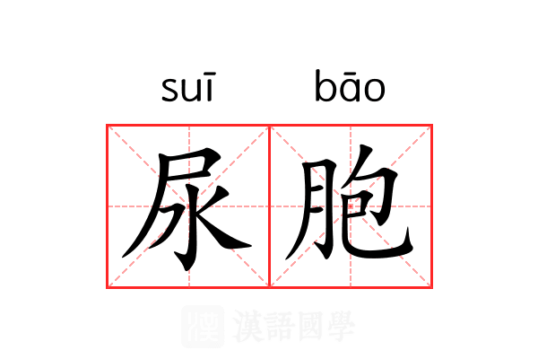 尿胞