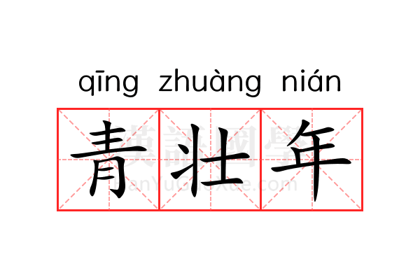 青壮年 青壮年