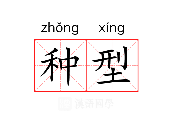 种型
