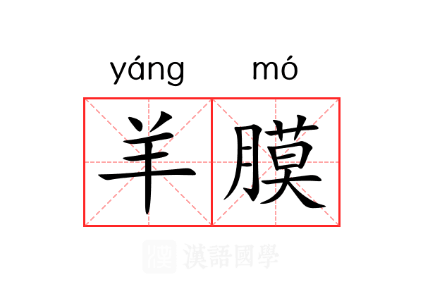 羊膜
