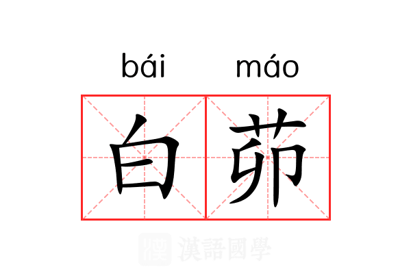 白茆 白茆