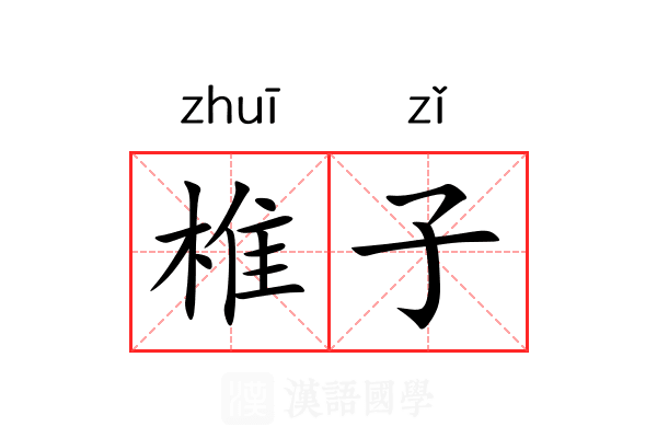 椎子 椎子