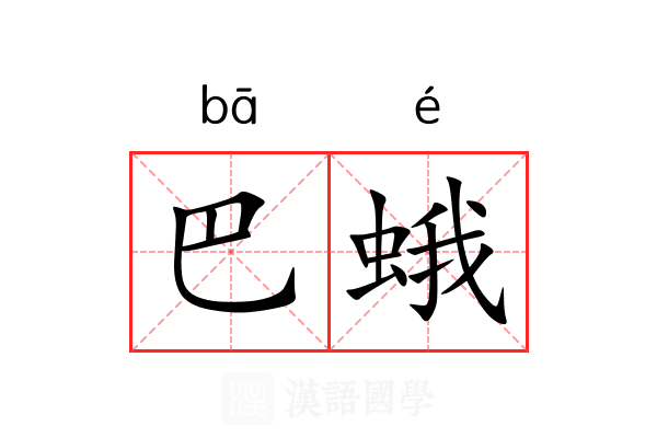 巴蛾