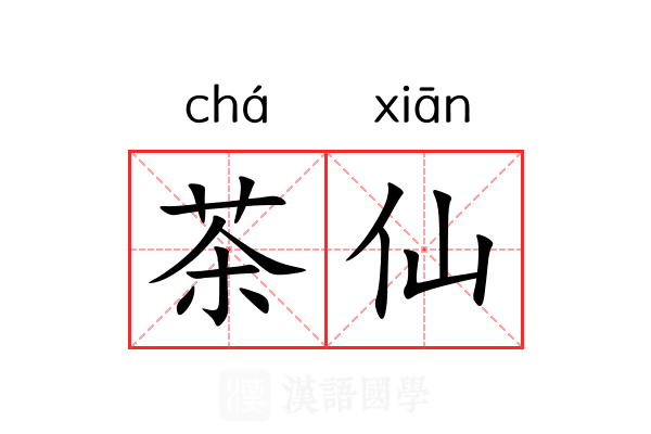 茶仙 茶仙
