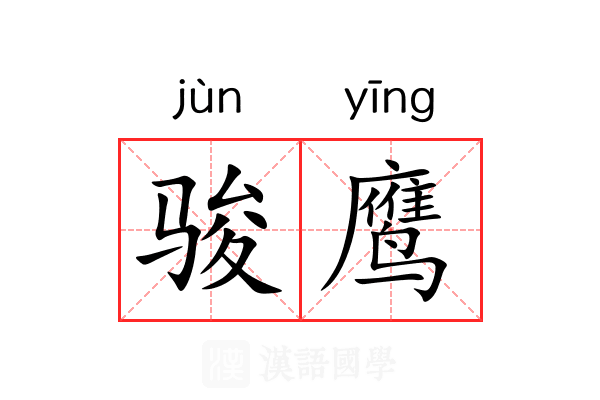 骏鹰