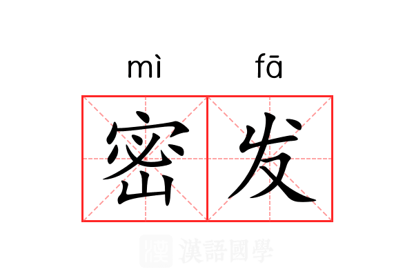 密发 密发