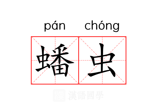 蟠虫