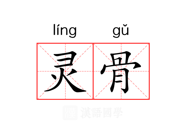 灵骨 灵骨