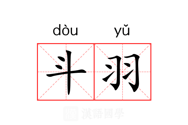斗羽 斗羽